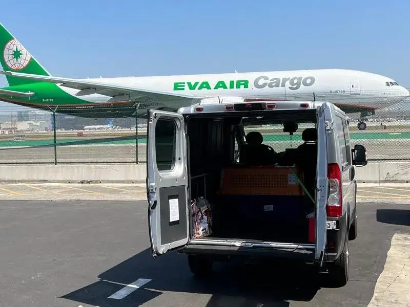 Airline cargo pet transport with dog crates ready for international flight