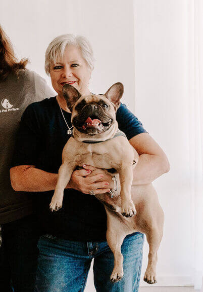 Can Brachycephalic Dogs Fly? Airline Restrictions, Safe Alternatives & What Owners Need to Know