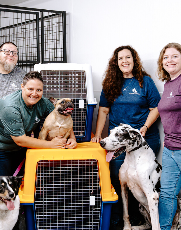 Professional pet relocation handler preparing pet for travel