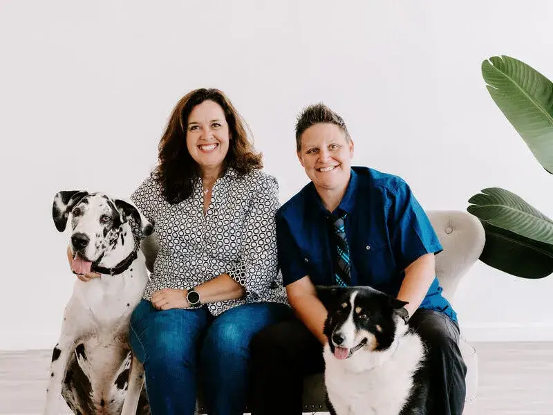 Pet transport consultation planning with airline and travel documentation